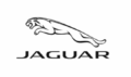 jaguar jaguar